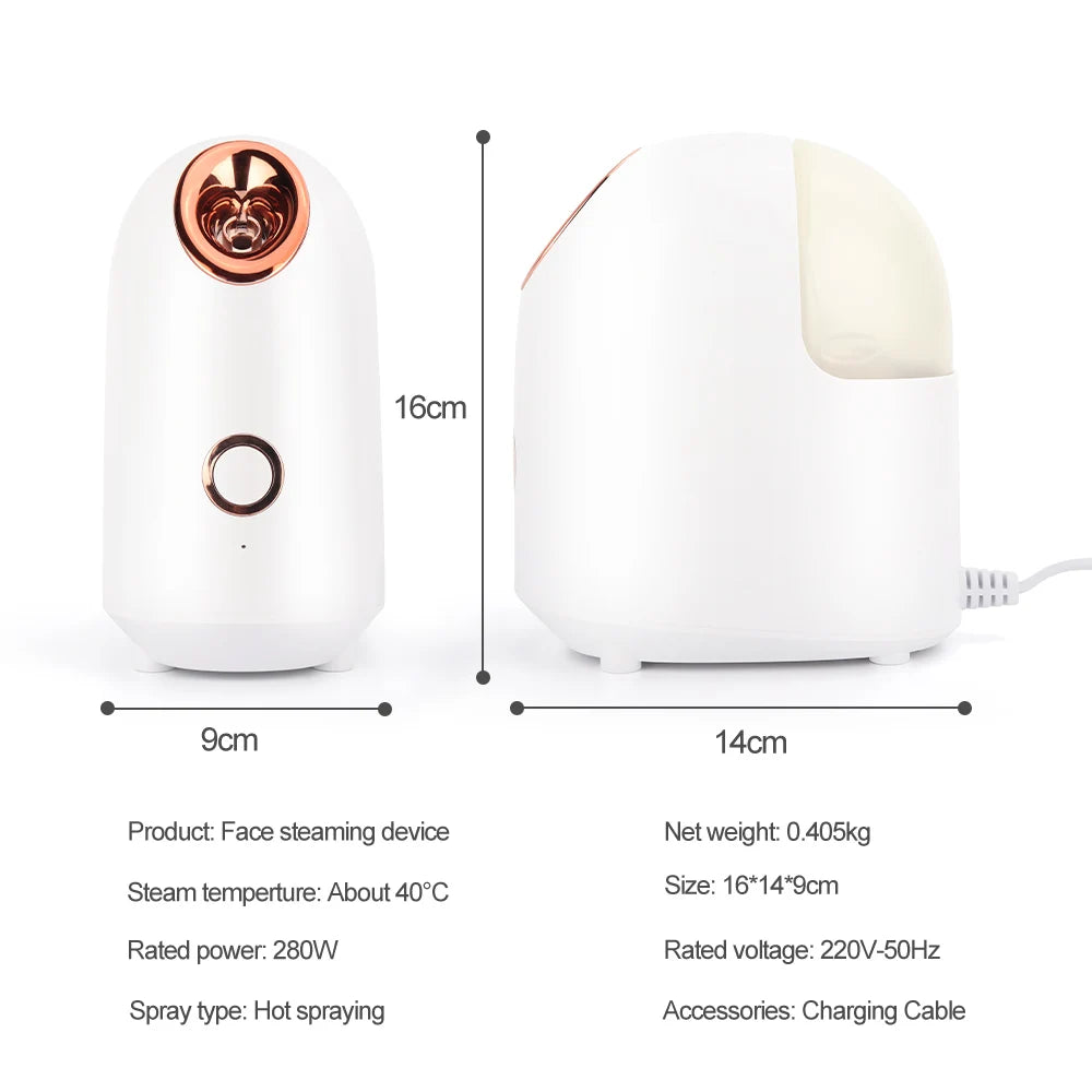 Facial Steamer Nano Ionic Hot Mist Face Steamer