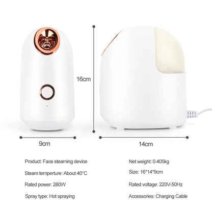 Facial Steamer Nano Ionic Hot Mist Face Steamer